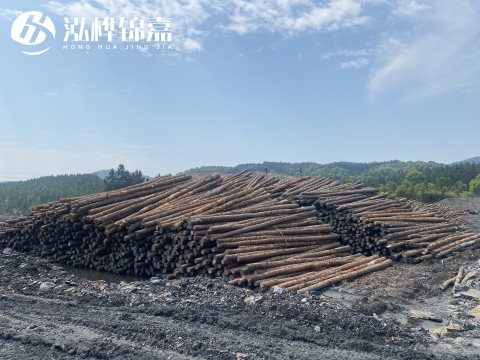 河道打樁為什么選擇松木樁來處理軟地基？-松木樁施工使用范圍