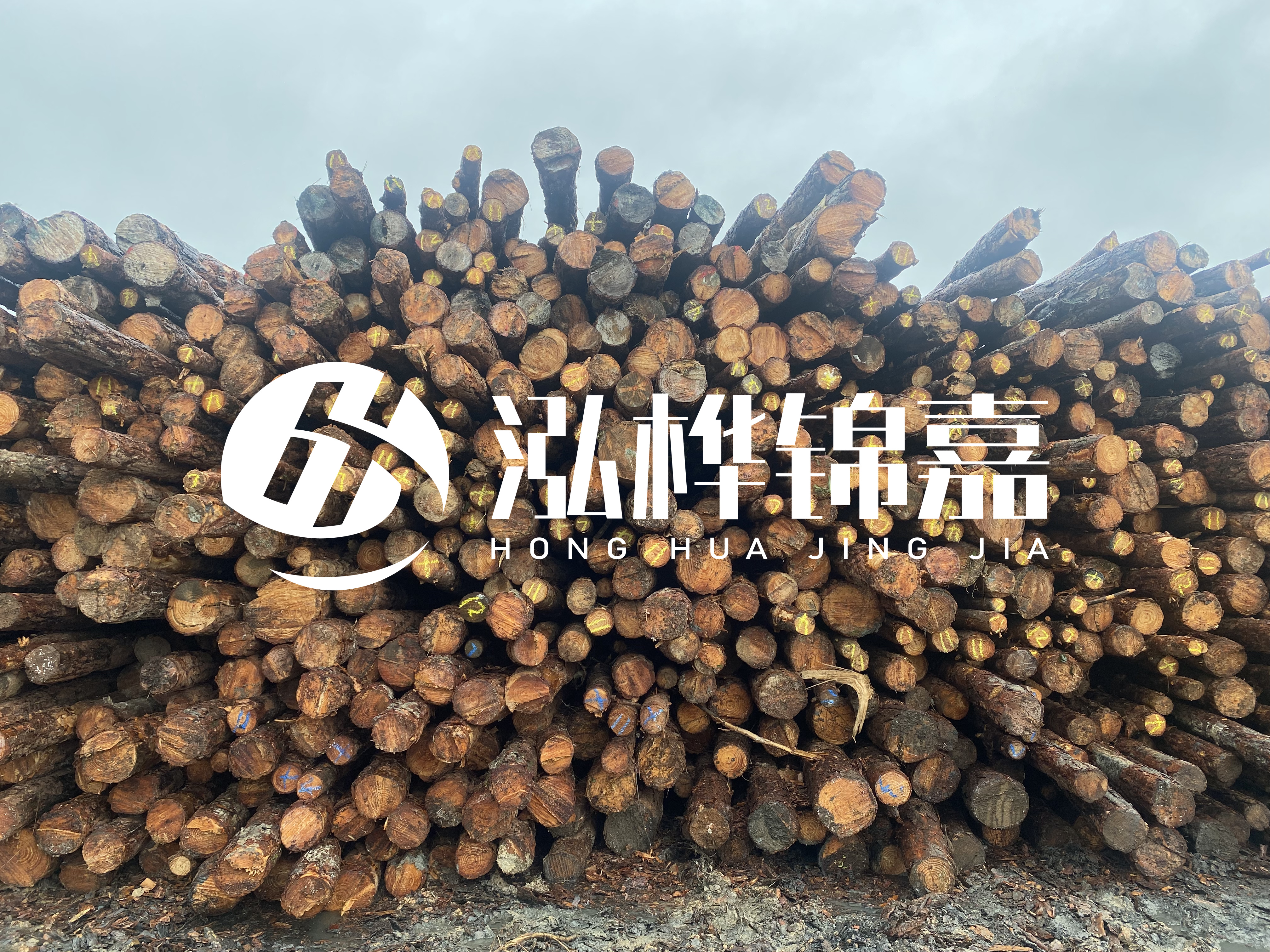 松木樁的直徑一般取多少？