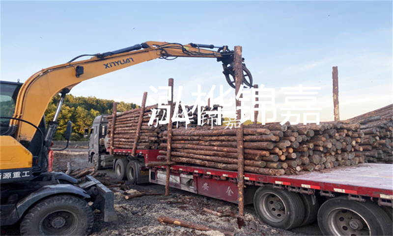打造自然與人工相結(jié)合的仿木樁護岸，保護岸邊生態(tài)多樣性
