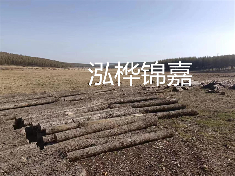 松木樁施工方案，為您提供高品質(zhì)的建筑基礎(chǔ)解決方案